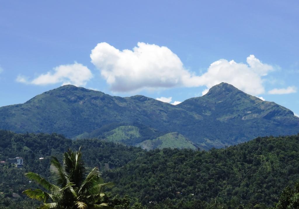 Mistletoe Homestay & Cafe มุนนาร์ ภายนอก รูปภาพ